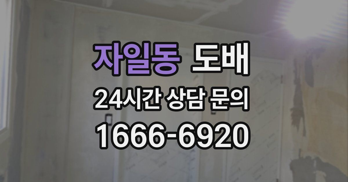 자일동 도배