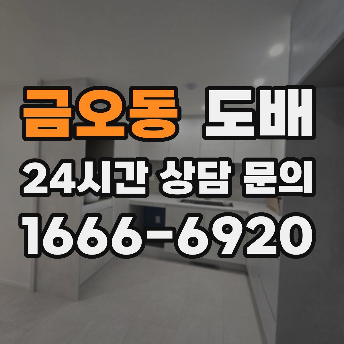 금오동 도배