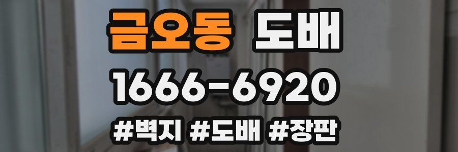 금오동 도배