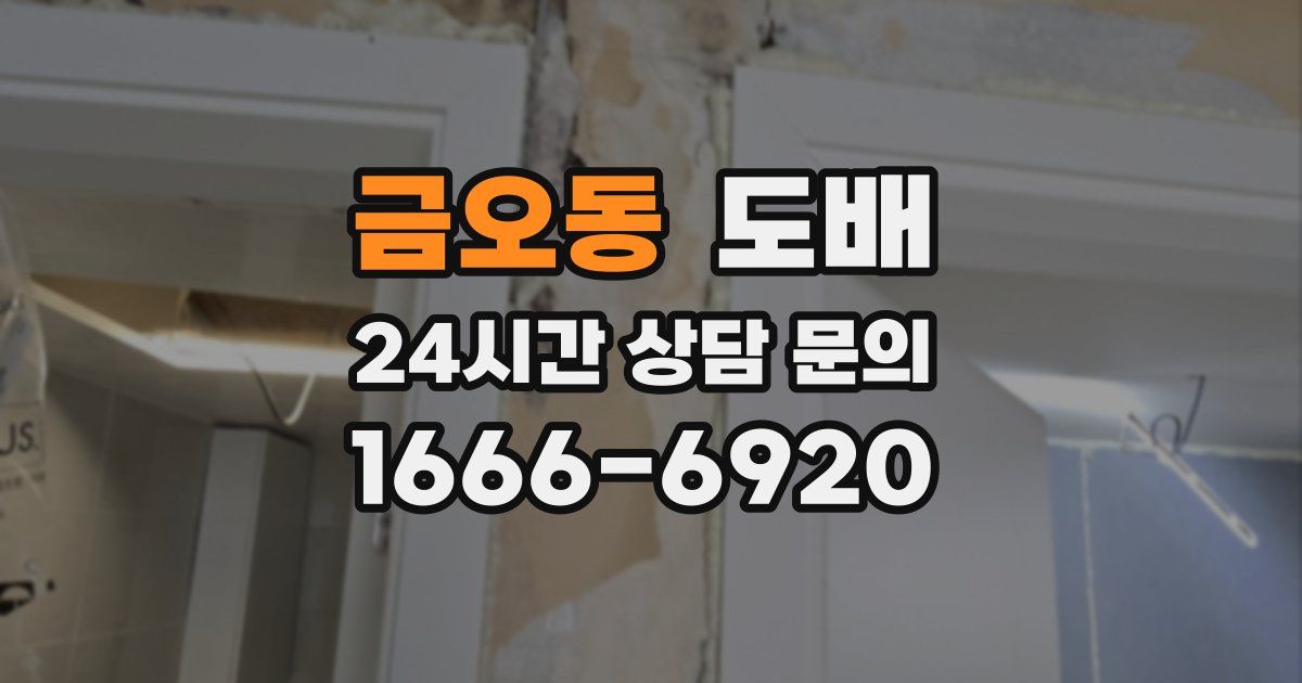 금오동 도배