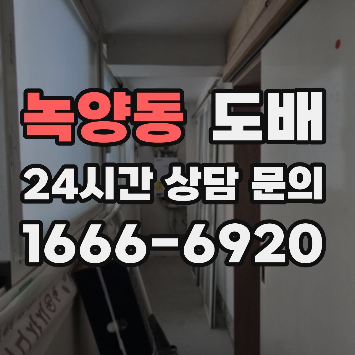 녹양동 도배