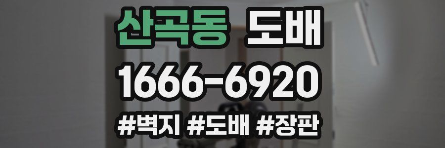 산곡동 도배