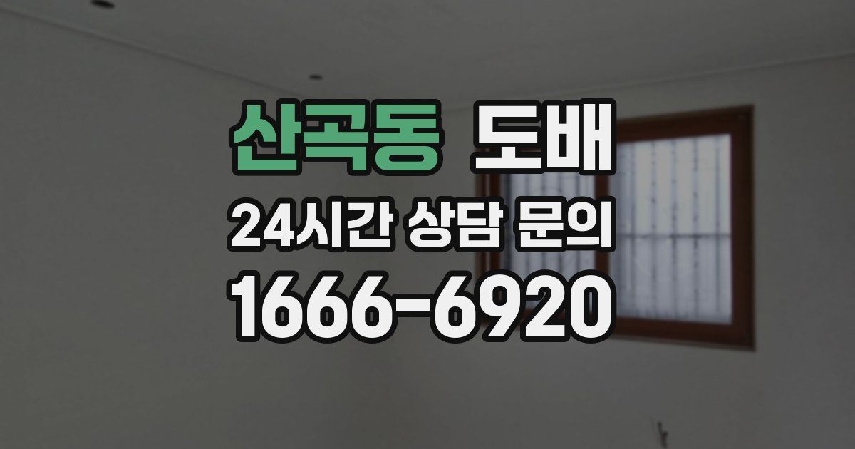 산곡동 도배