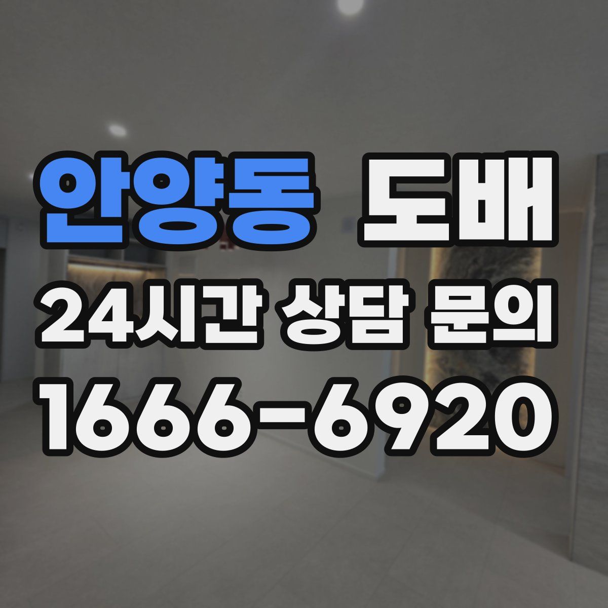 안양동 도배