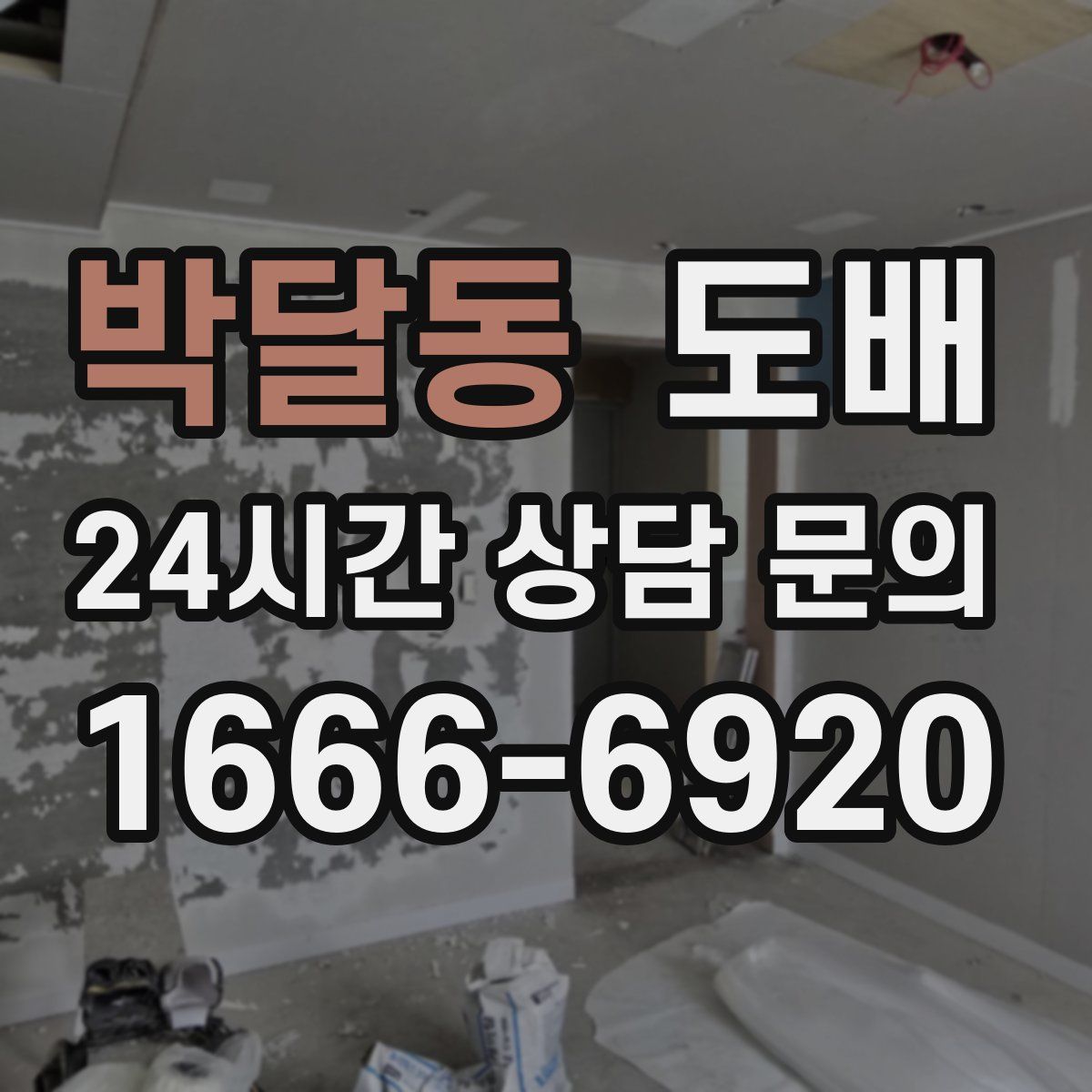 박달동 도배