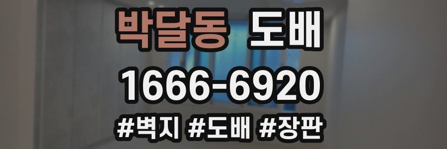 박달동 도배
