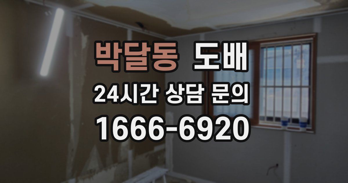 박달동 도배