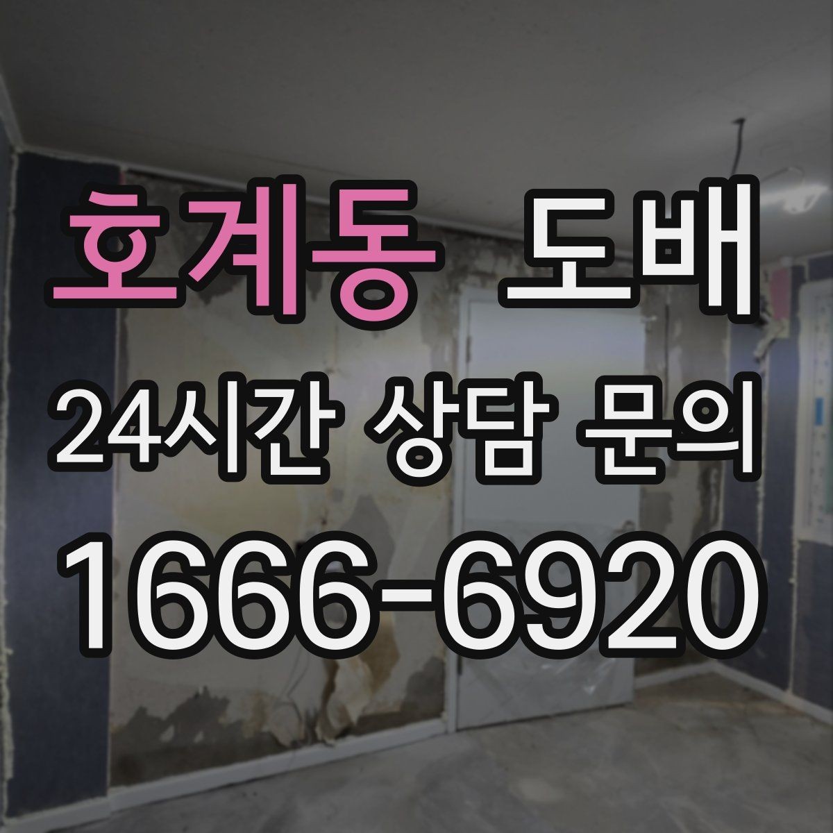 호계동 도배 초보자가 자주 하는 질문 정리