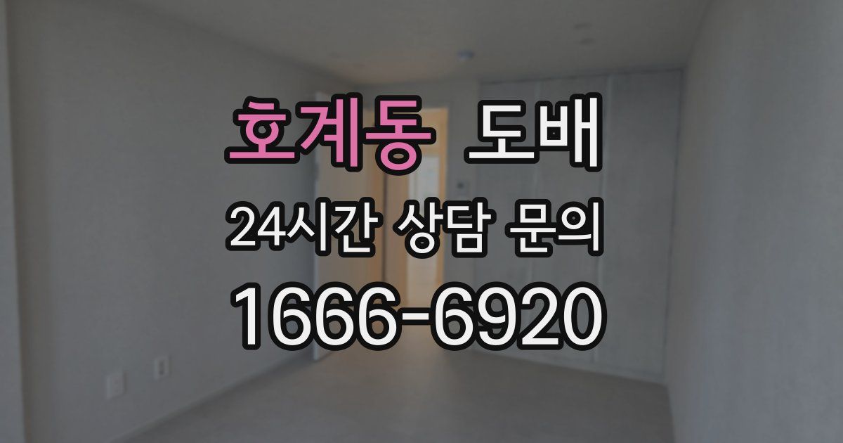 호계동 도배