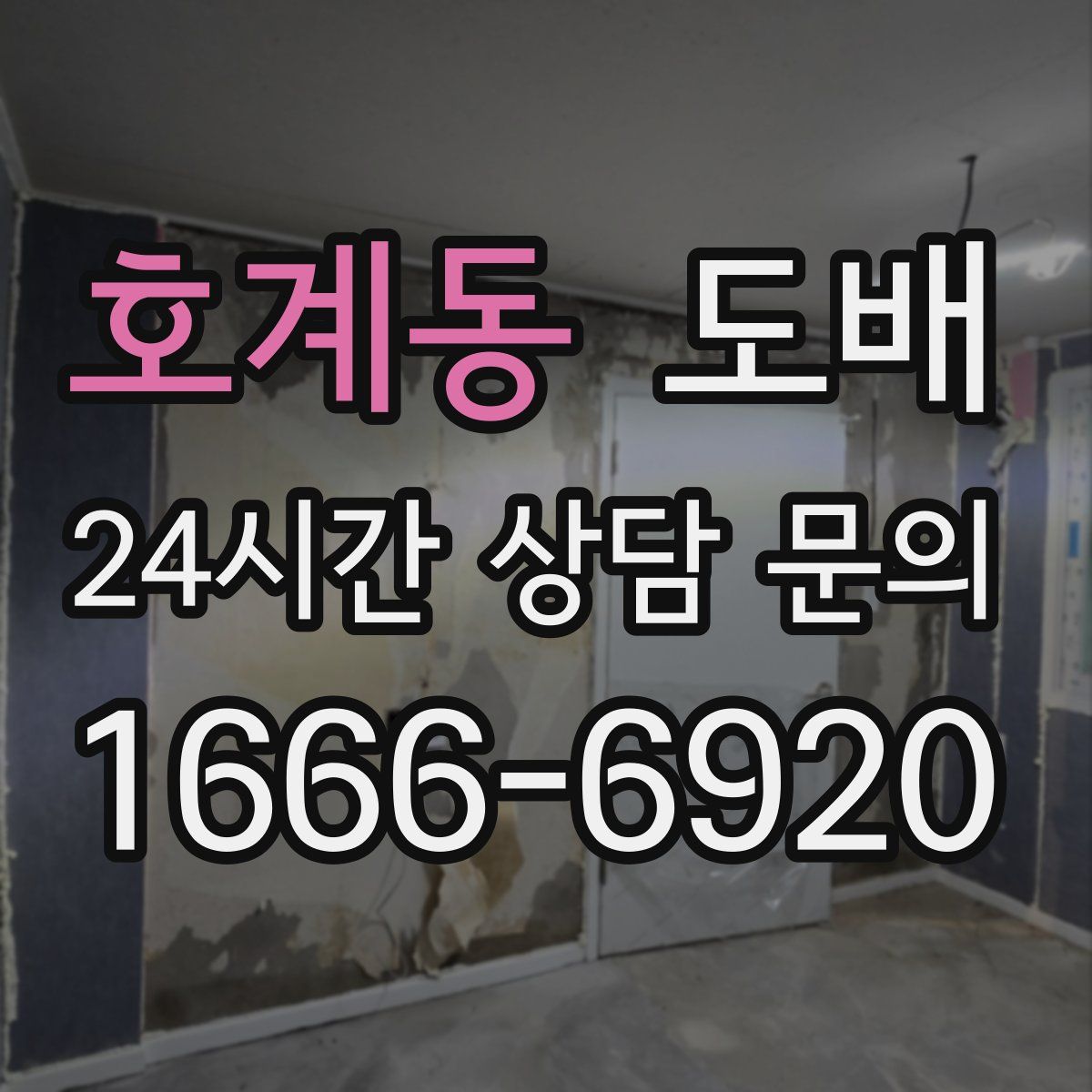 호계동 도배