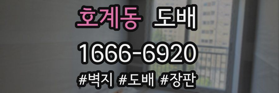 호계동 도배