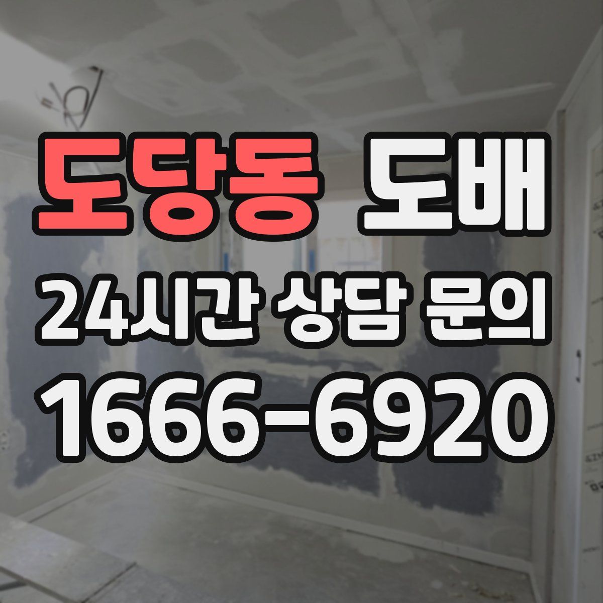 도당동 도배