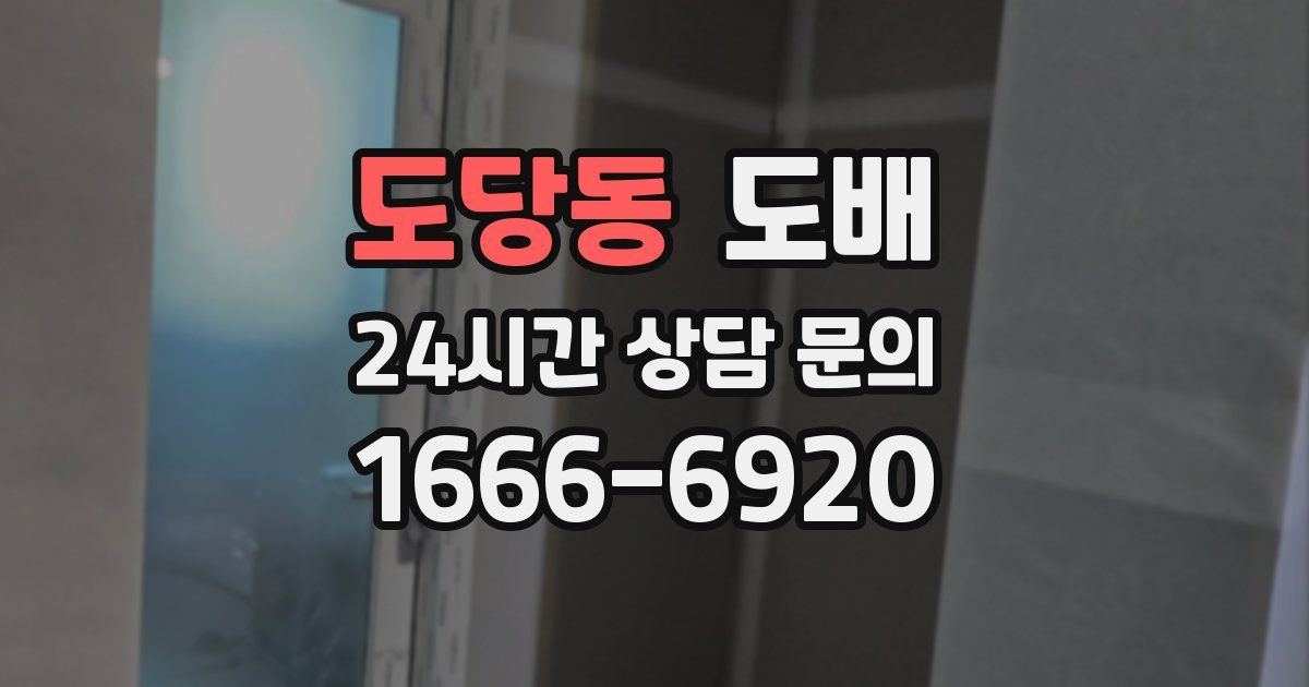 도당동 도배
