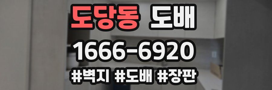 도당동 도배