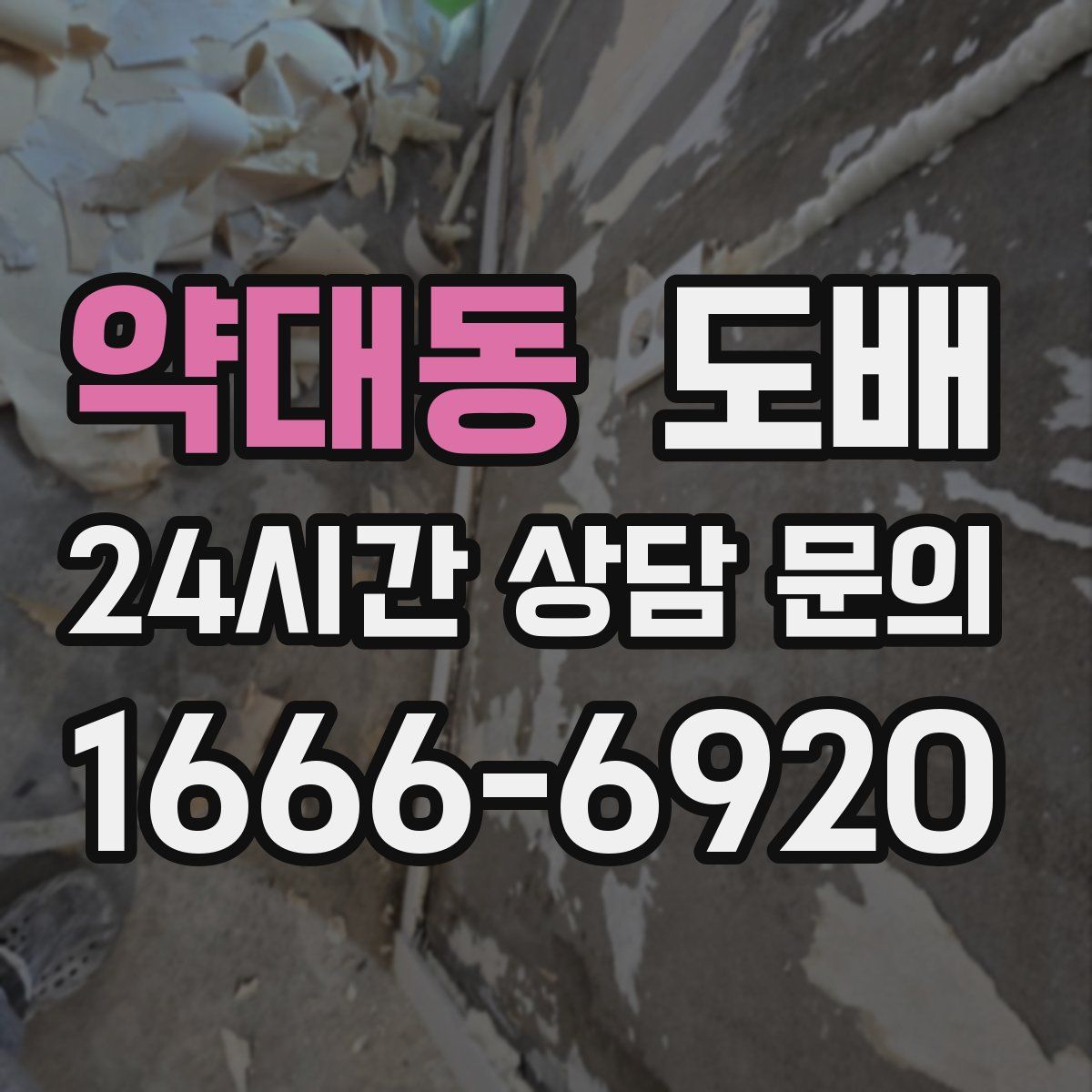 약대동 도배