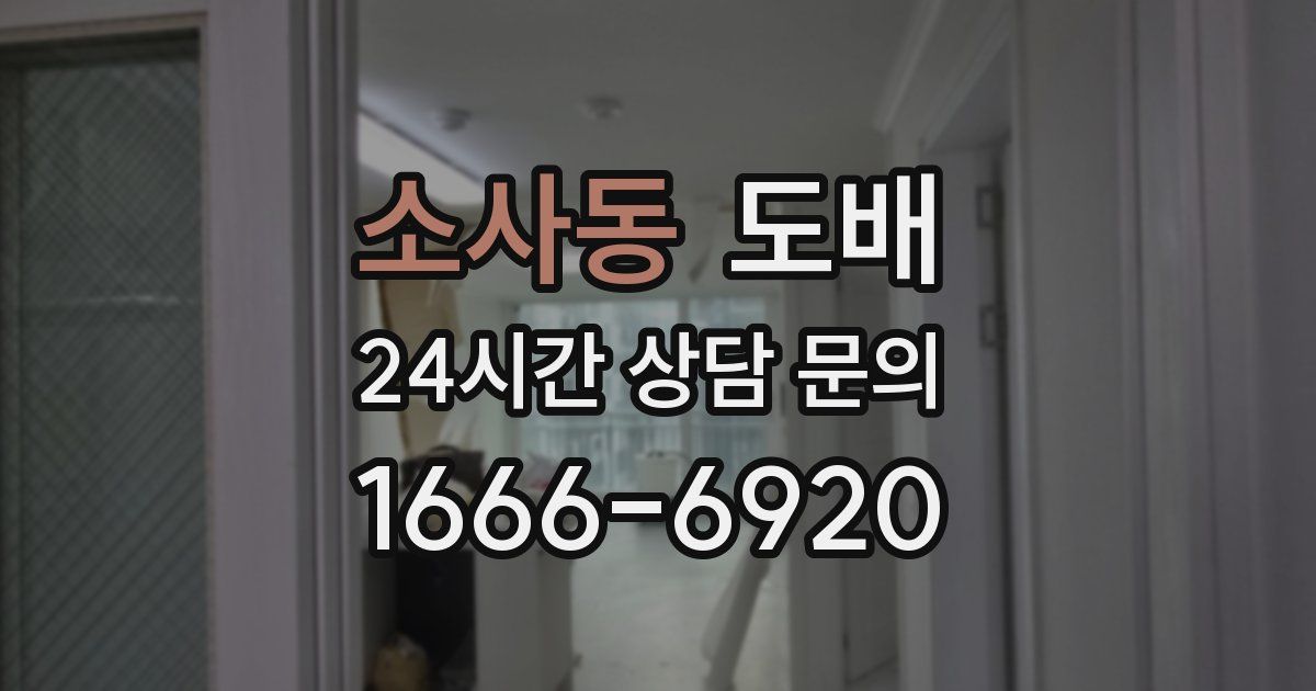 소사동 도배