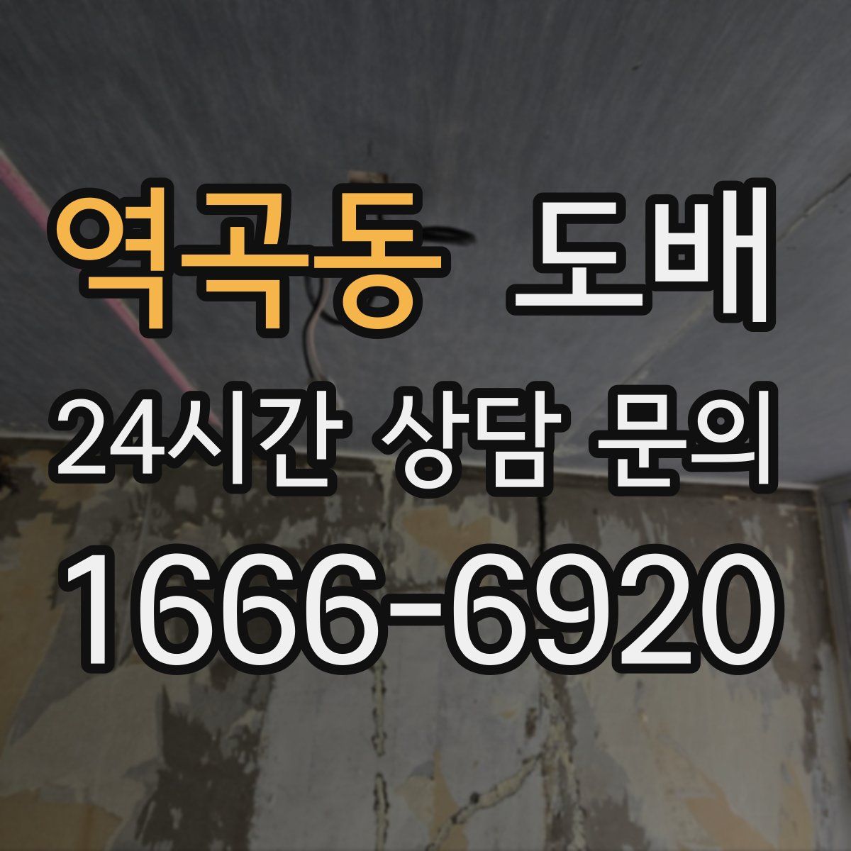 역곡동 도배