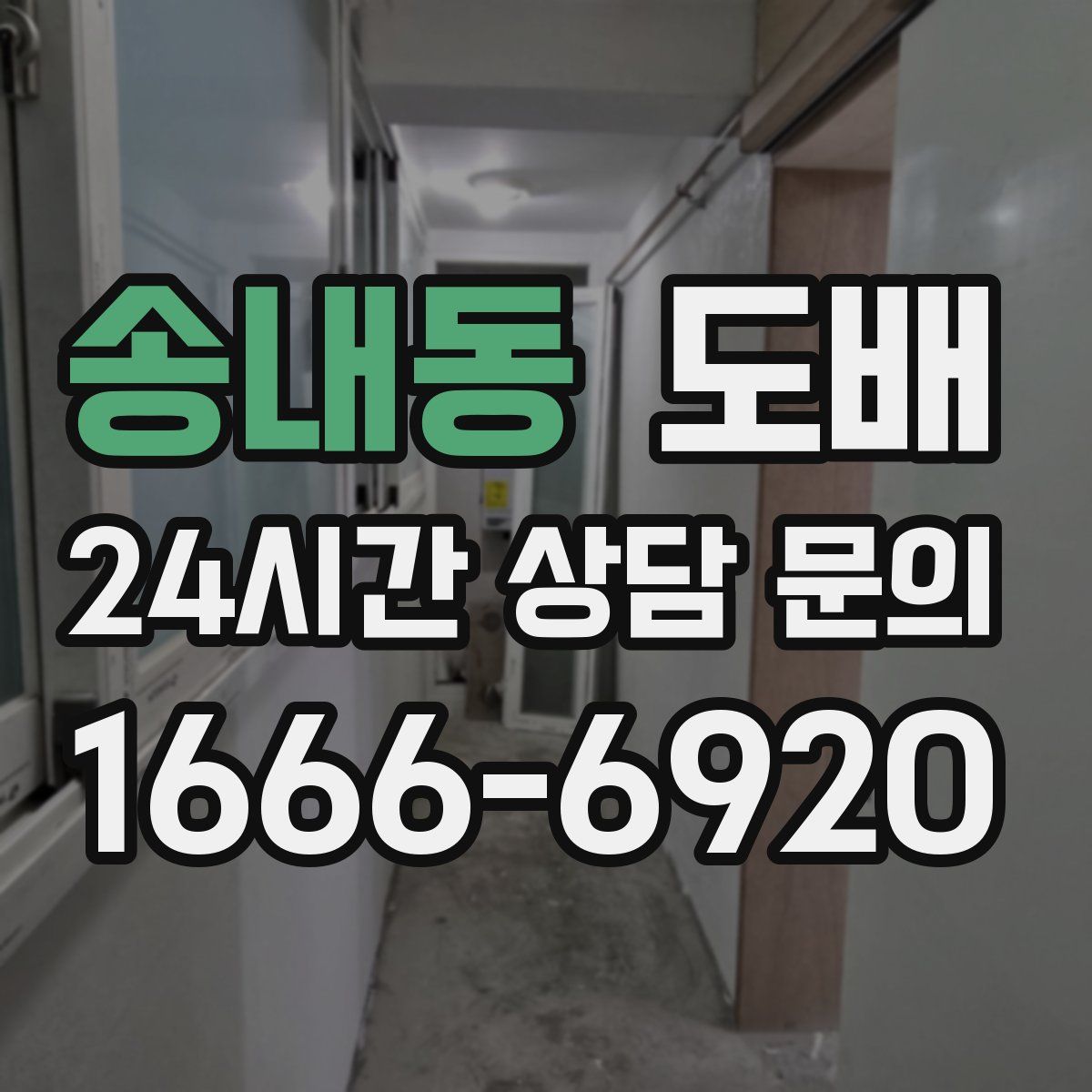 송내동 도배