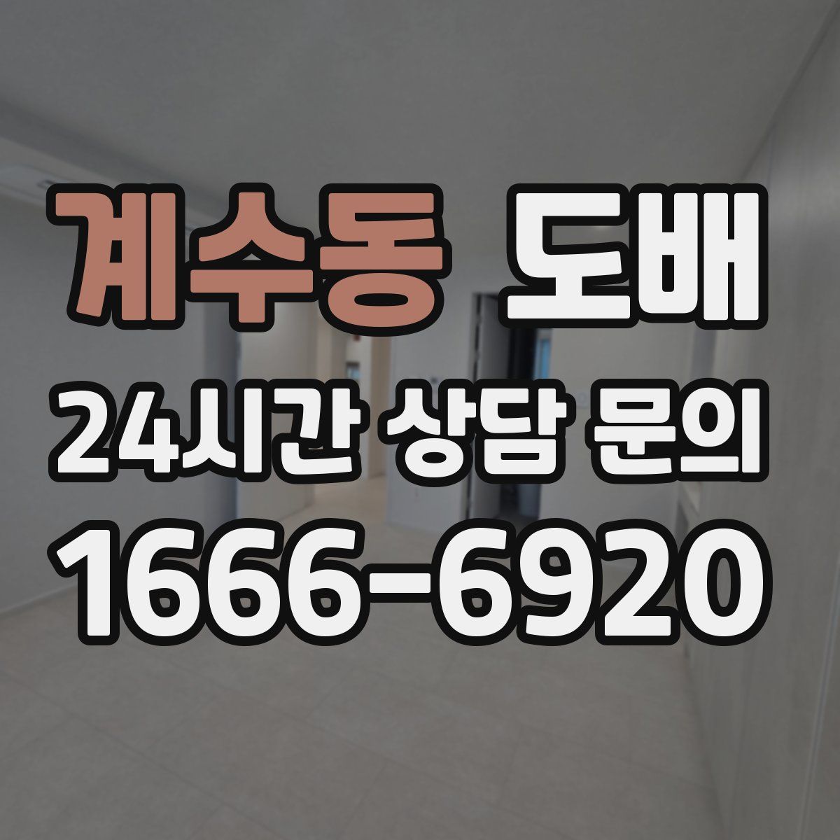 계수동 도배