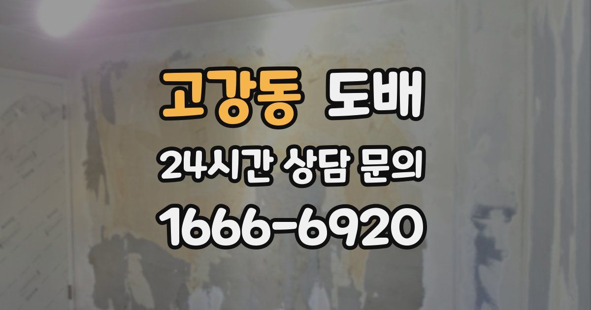 고강동 도배