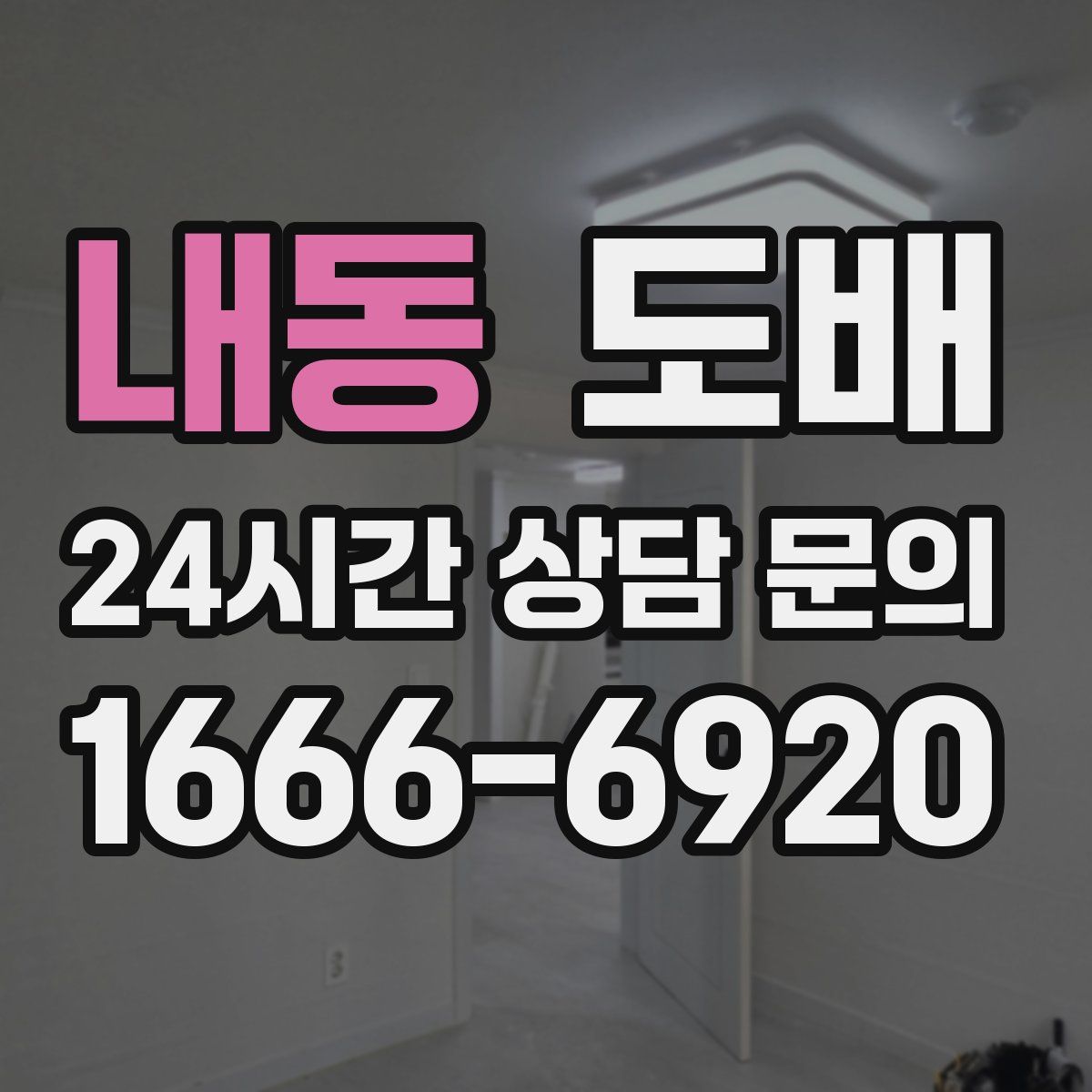 내동 도배