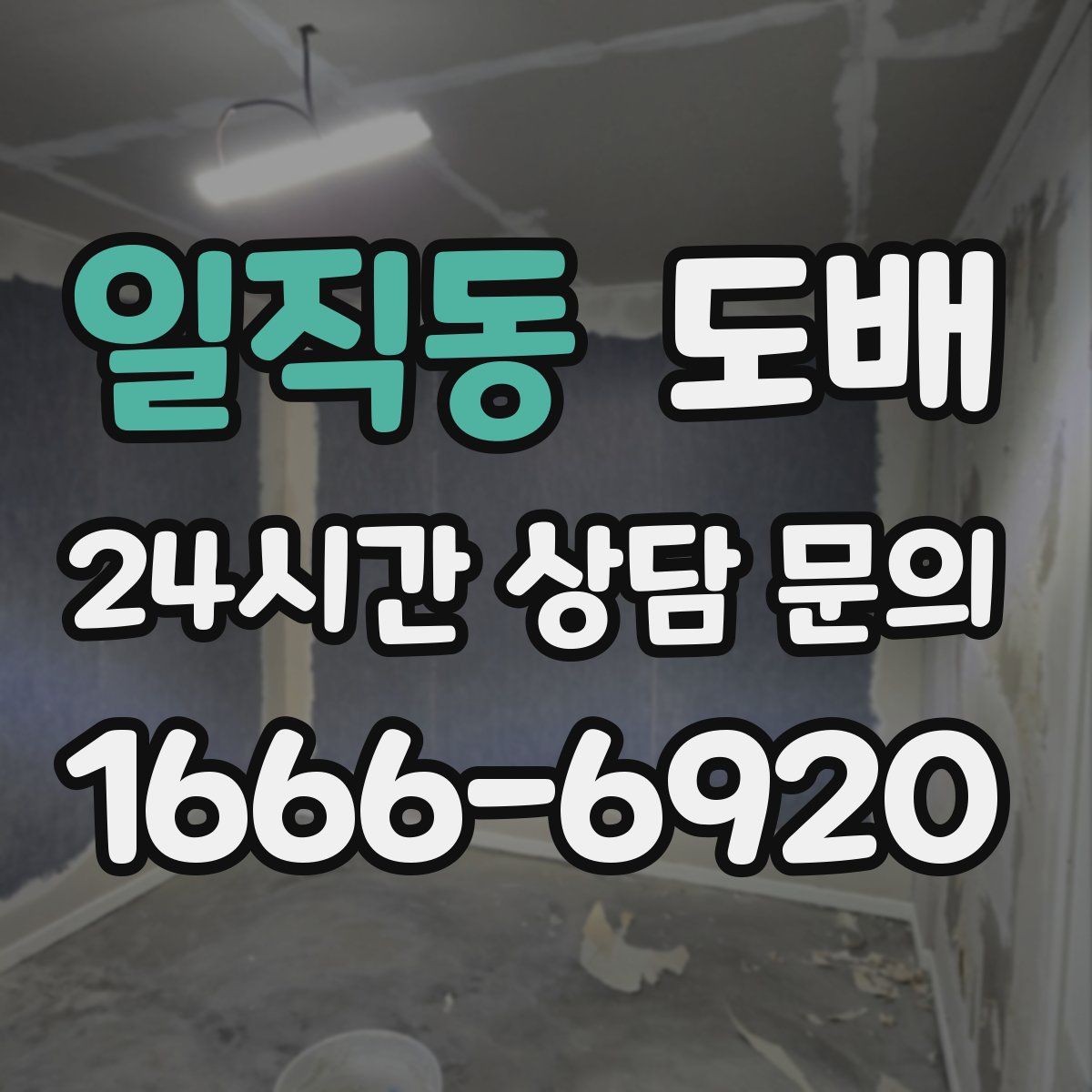 일직동 도배