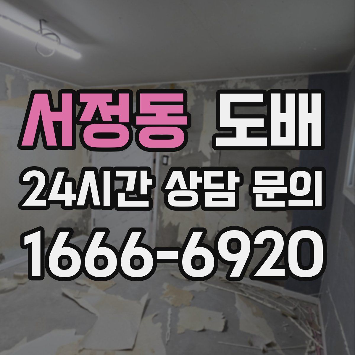 서정동 도배