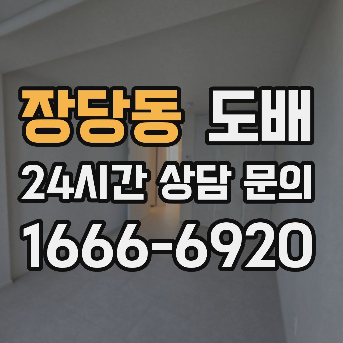 장당동 도배