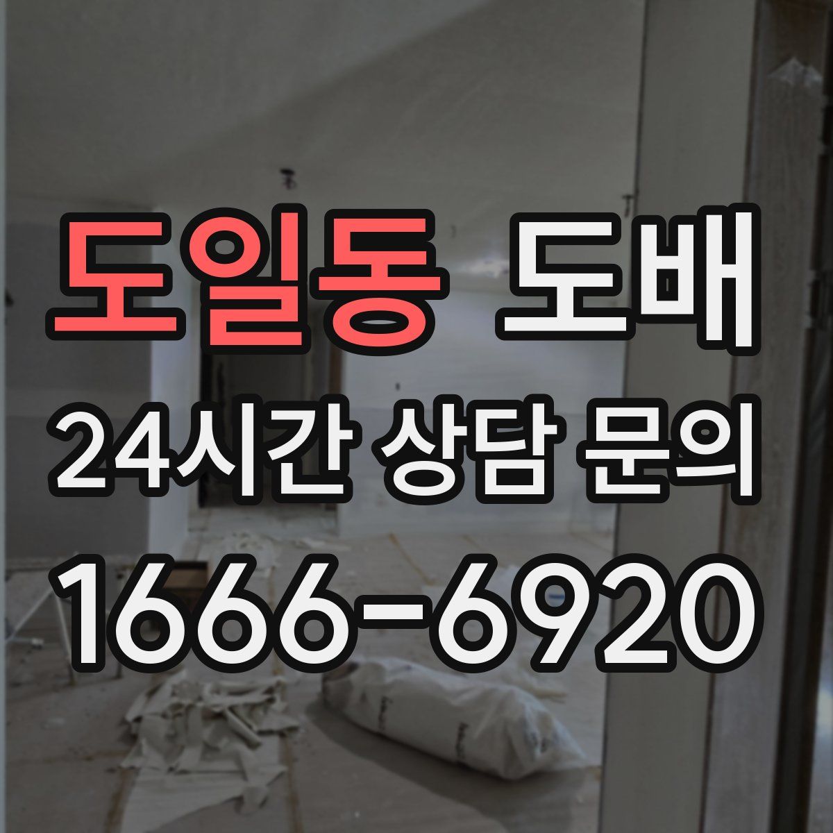 도일동 도배