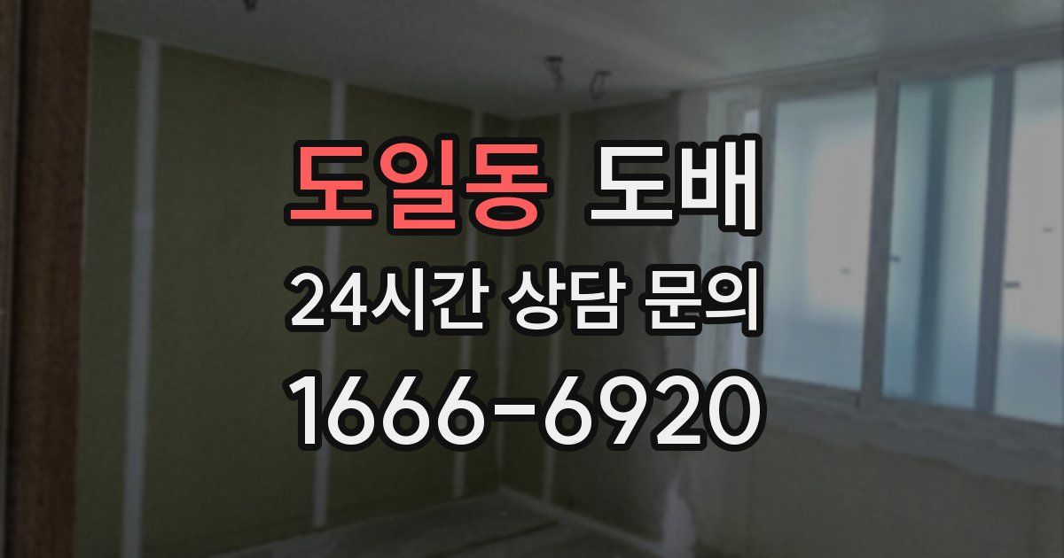 도일동 도배