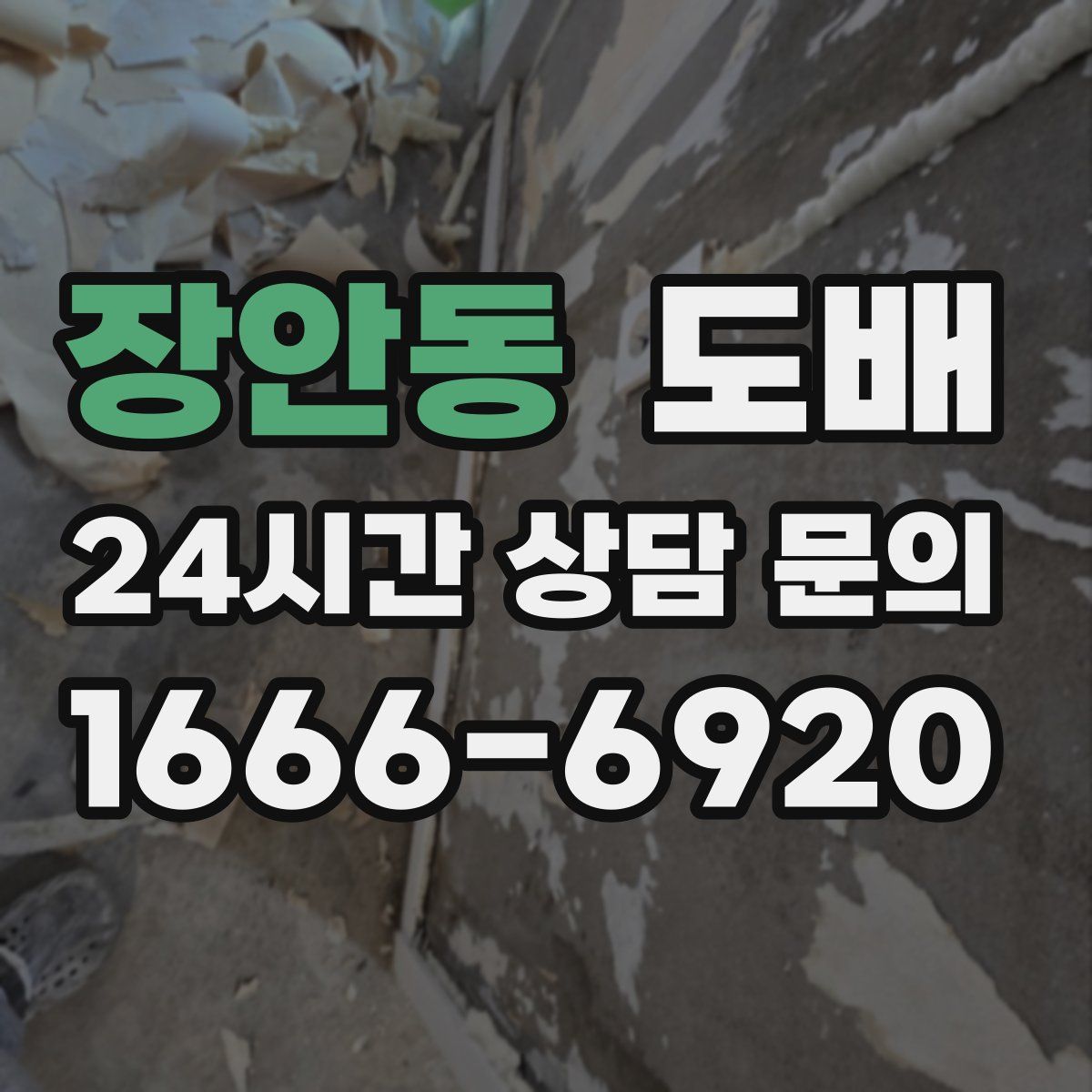 장안동 도배