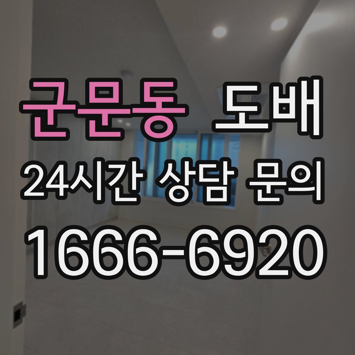 군문동 도배