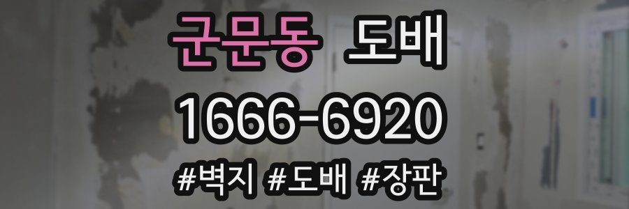 군문동 도배