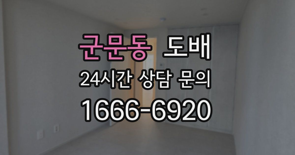 군문동 도배