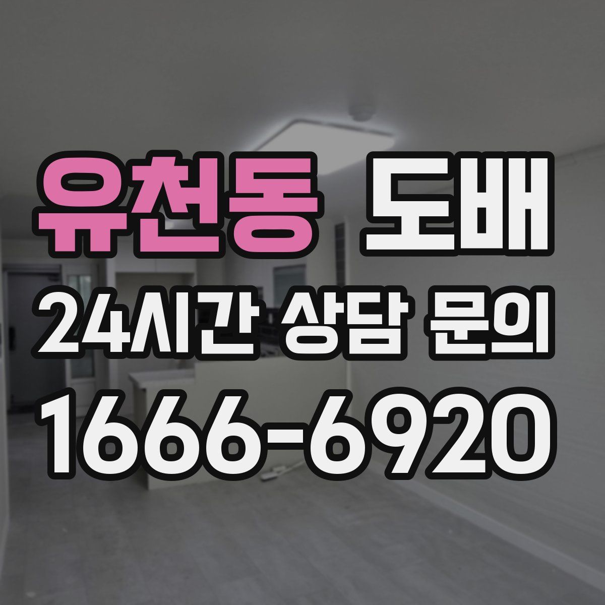 유천동 도배