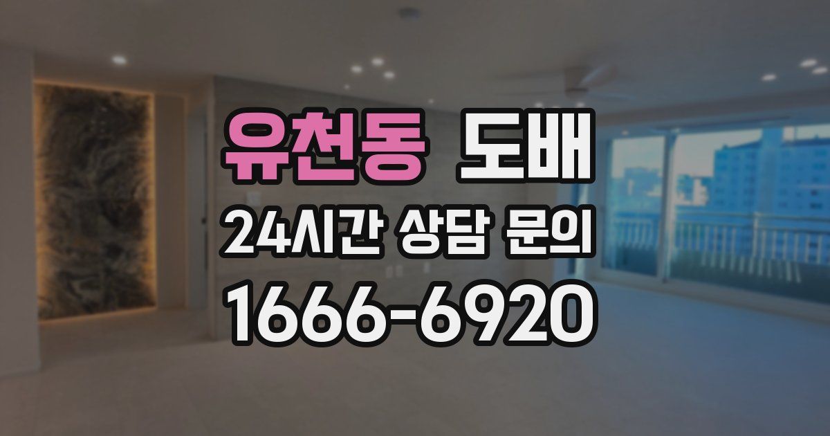 유천동 도배