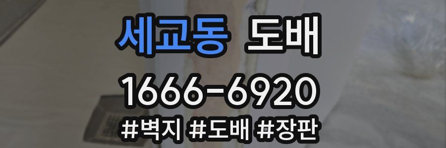 세교동 도배