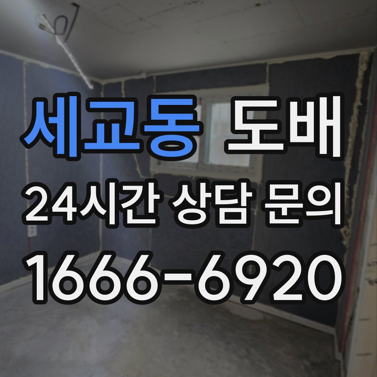 세교동 도배