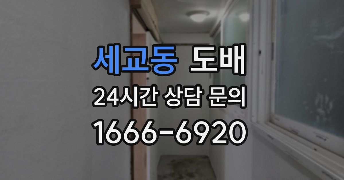 세교동 도배