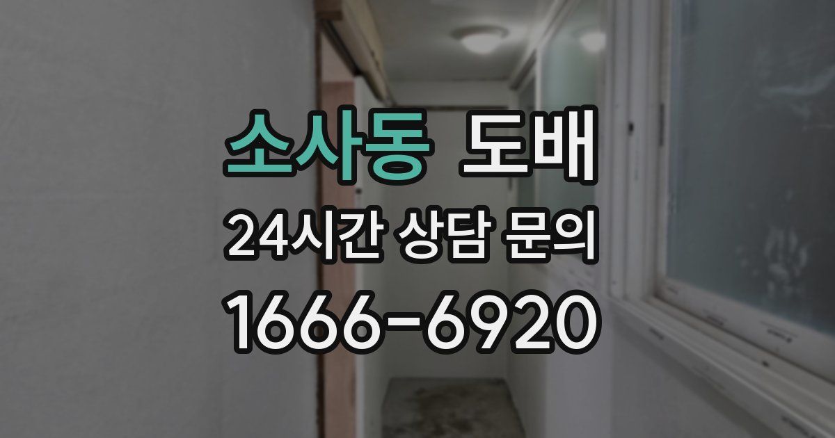 소사동 도배