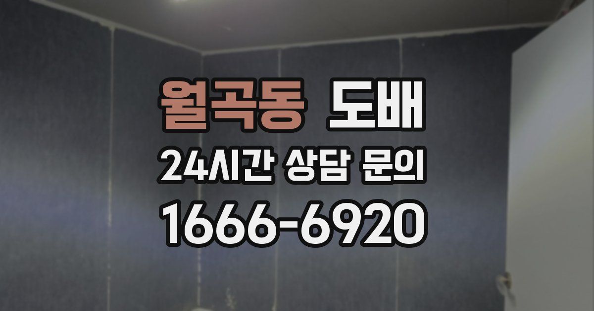 월곡동 도배