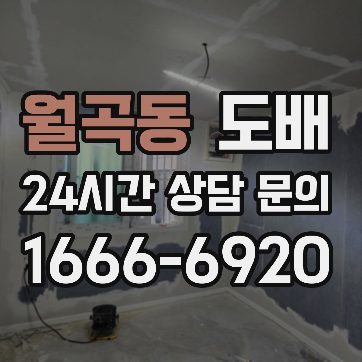 월곡동 도배
