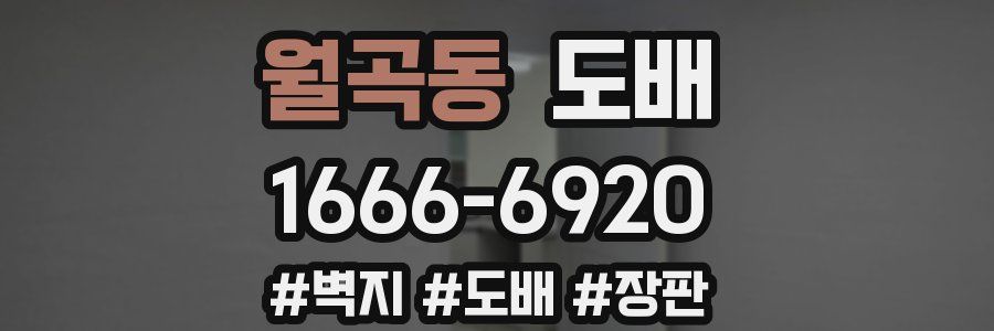 월곡동 도배