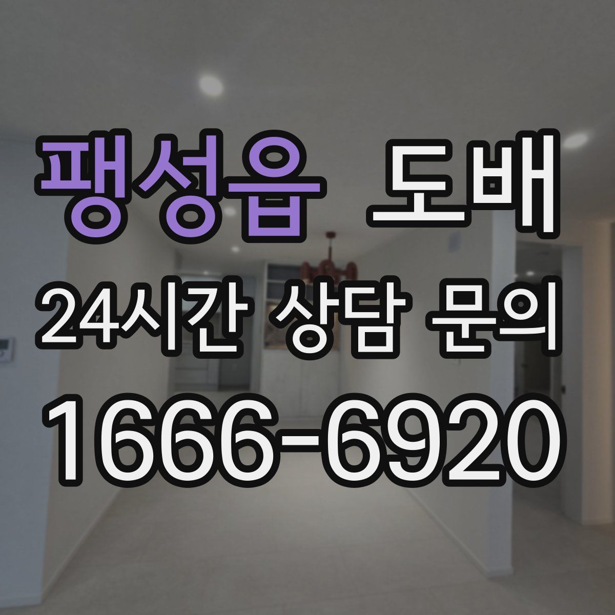 팽성읍 도배