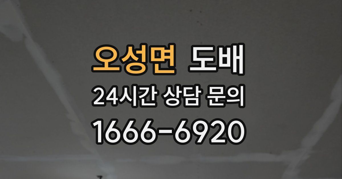 오성면 도배