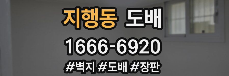 지행동 도배