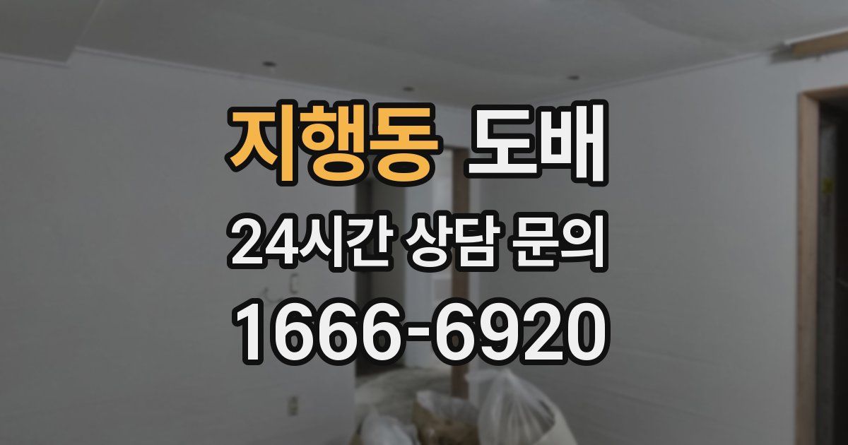 지행동 도배