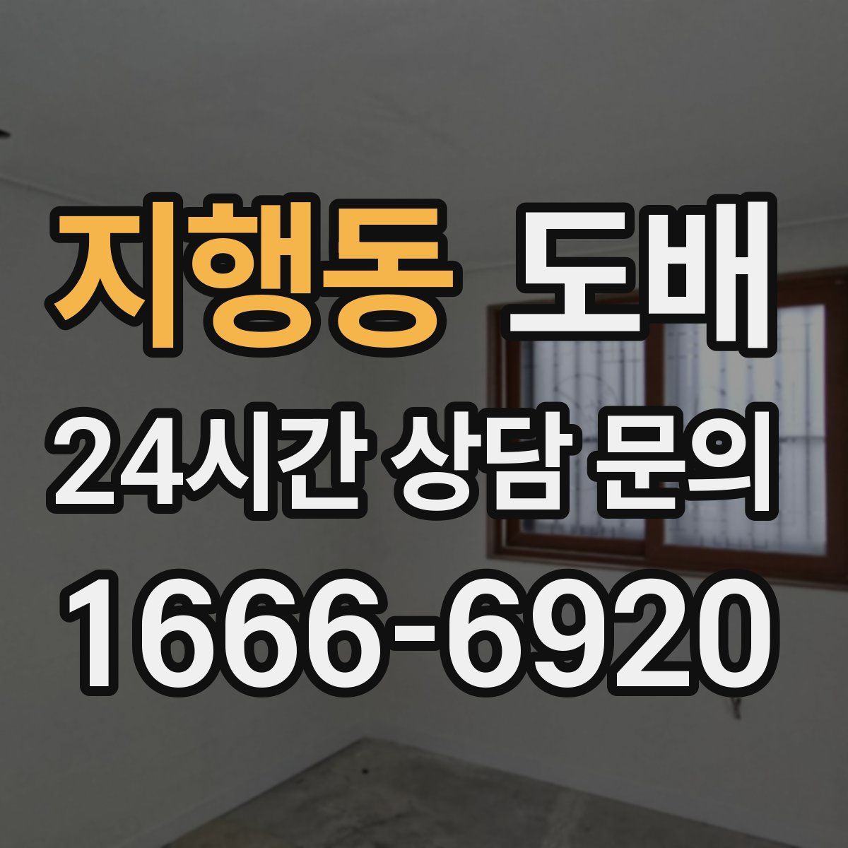 지행동 도배