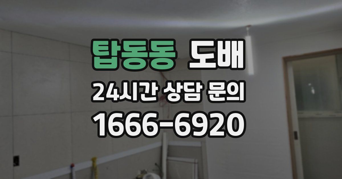 탑동동 도배