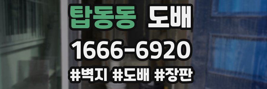 탑동동 도배